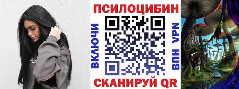 Псилоцибиновые грибы мухоморы купить закладку Камышин