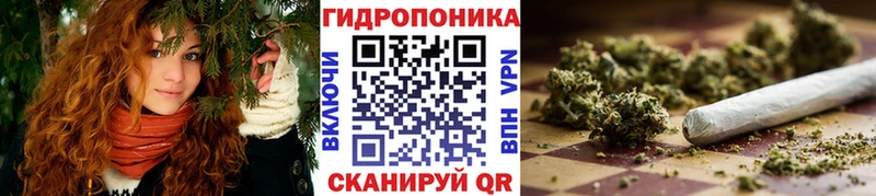 Бошки Шишки конопля МЕГА ссылка Камышин где купить